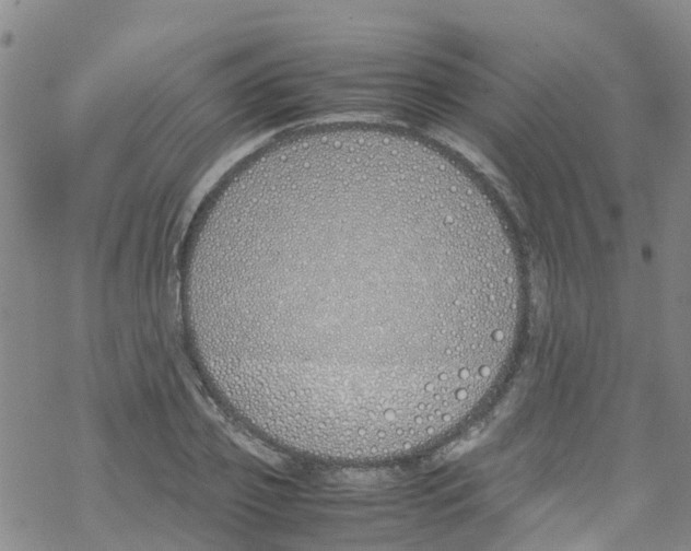 X0000067950933200605112121