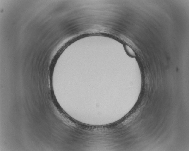 X0000067950934200605112122