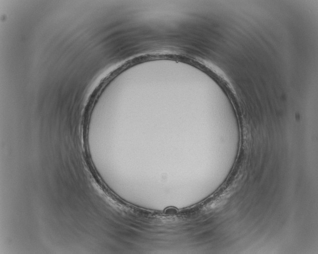 X0000067950935200605112122