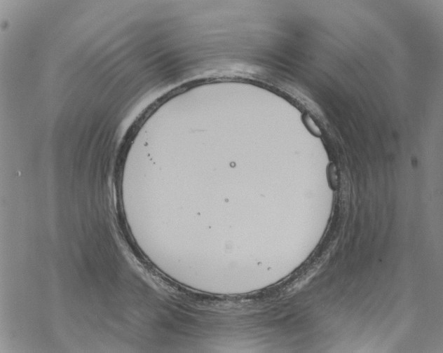 X0000067950936200605112122