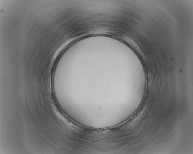 X0000067950939200605112122