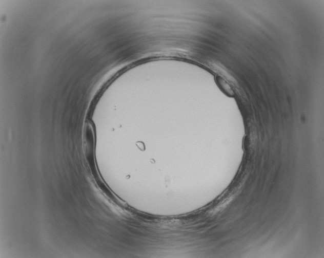 X0000067950940200605112122