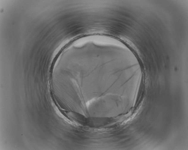 X0000067950941200605112122