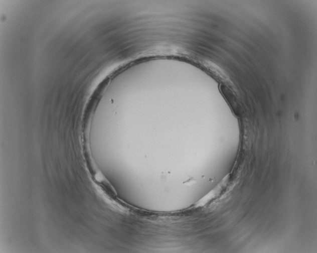 X0000067950942200605112122