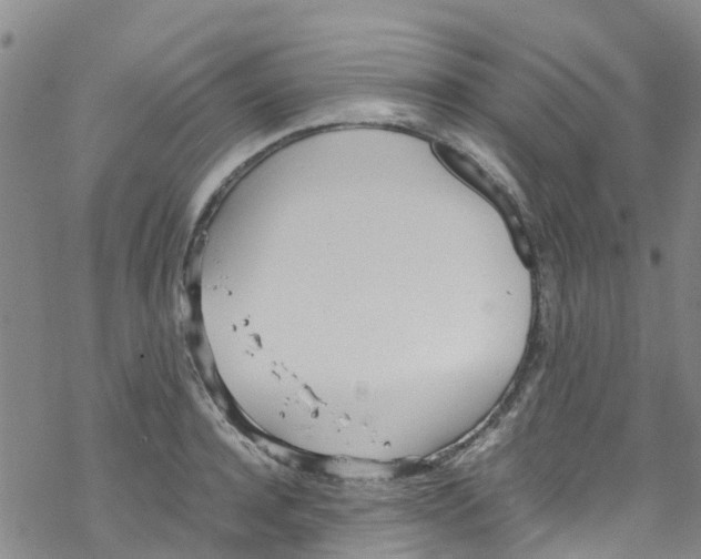 X0000067950944200605112122