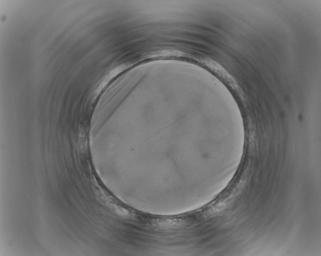 X0000067950945200605112122