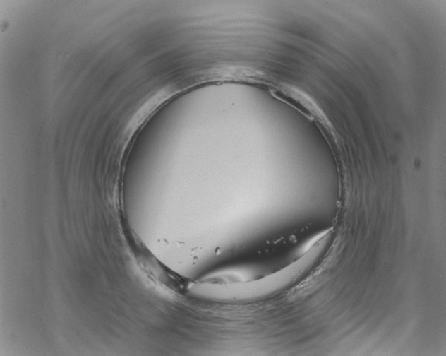 X0000067950946200605112122