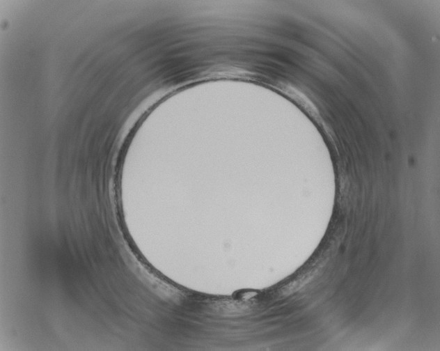 X0000067950947200605112122