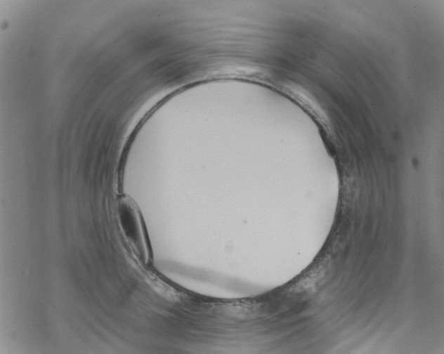 X0000067950948200605112122