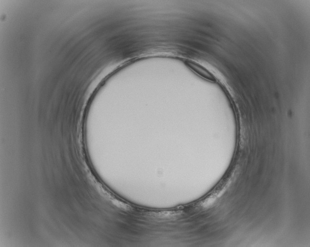 X0000067950949200605112122