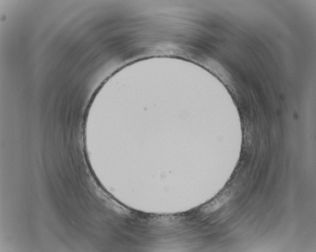 X0000067950950200605112122