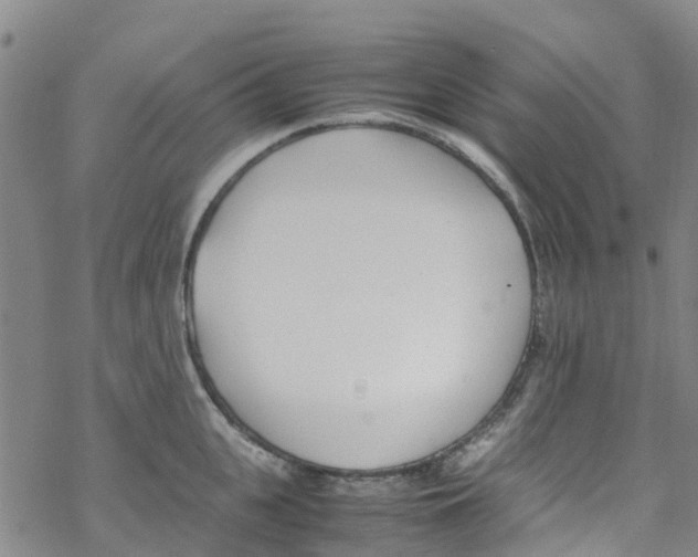 X0000067950951200605112122