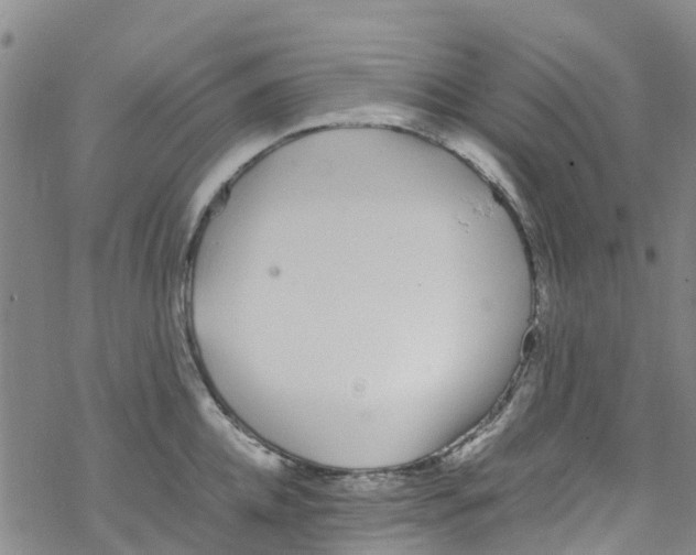 X0000067950952200605112122