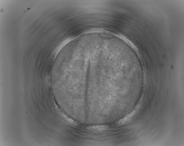 X0000067950953200605112122