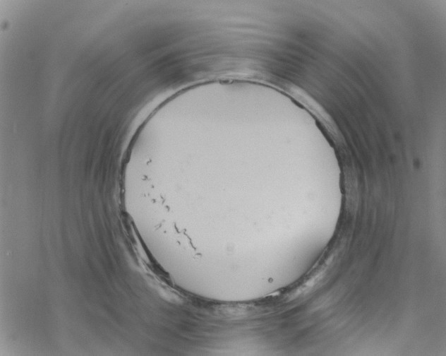 X0000067950956200605112122