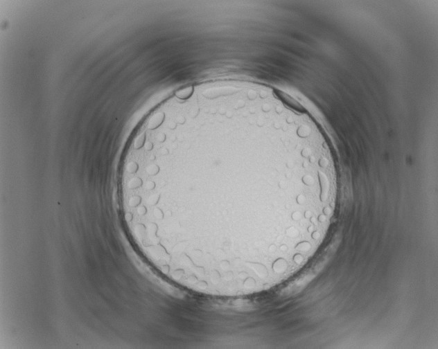 X0000067950957200605112122