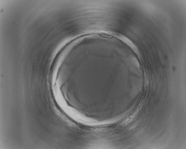 X0000067950958200605112122