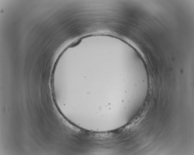 X0000067950959200605112122