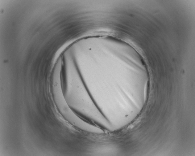 X0000067950960200605112122