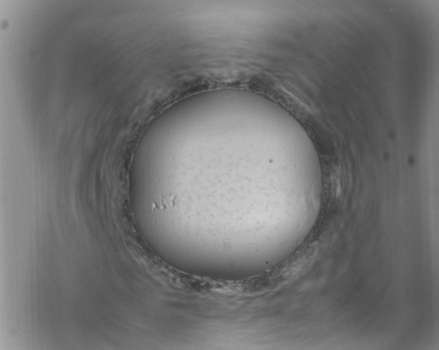 X0000067950961200605112121