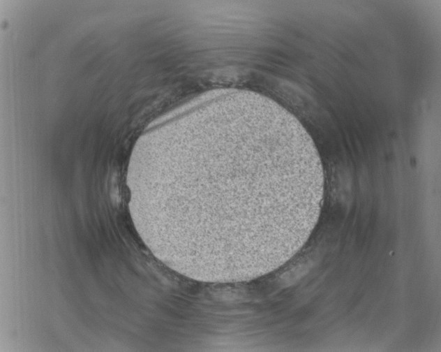 X0000067950962200605112121