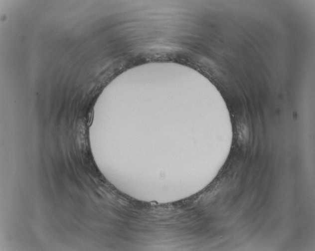 X0000067950964200605112121