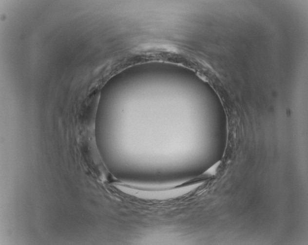 X0000067950965200605112121