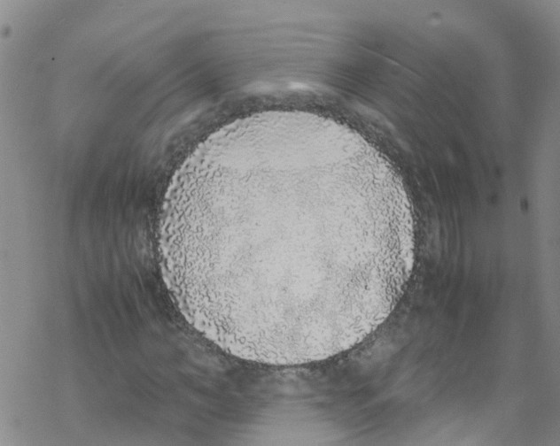 X0000067950966200605112121