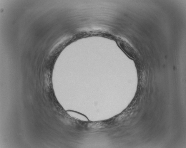 X0000067950967200605112121