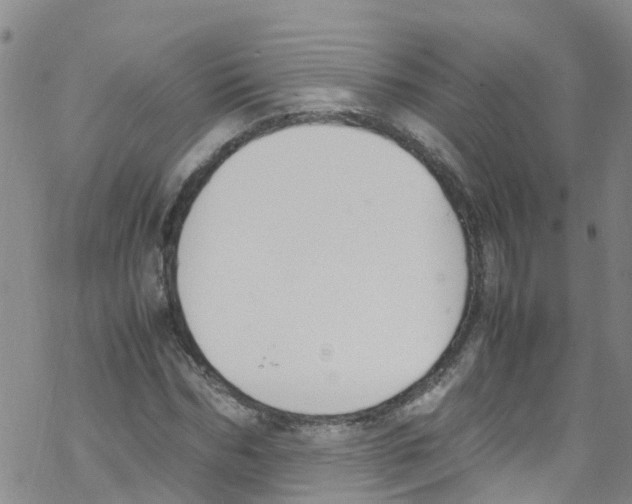 X0000067950970200605112121