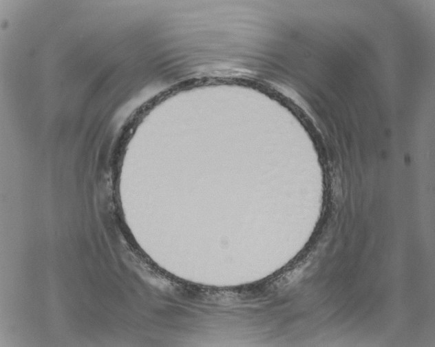 X0000067950971200605112121