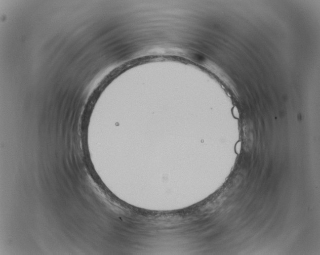 X0000067950972200605112121