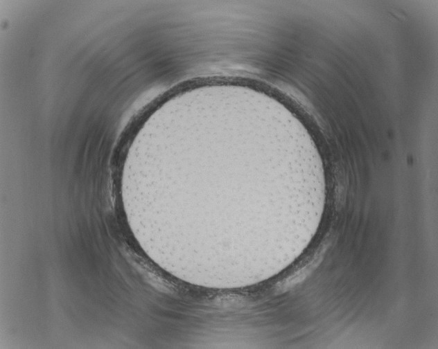 X0000067950974200605112121