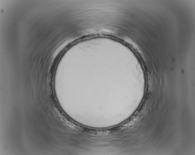 X0000067950975200605112121