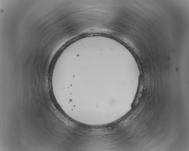 X0000067950976200605112121