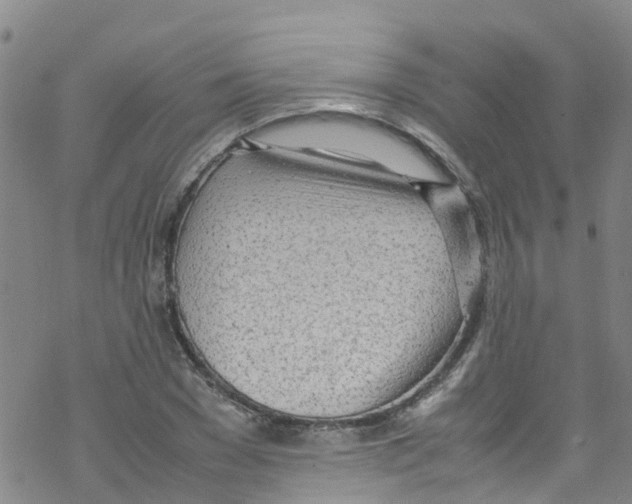 X0000067950977200605112121