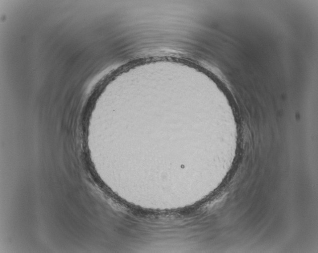 X0000067950979200605112121