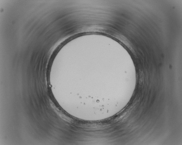 X0000067950980200605112121