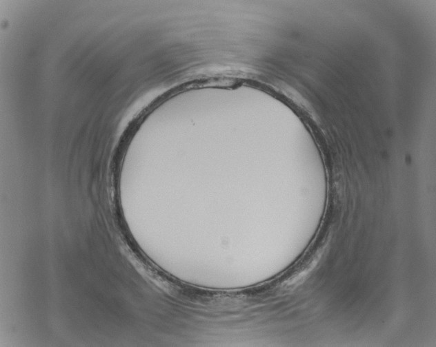 X0000067950981200605112121