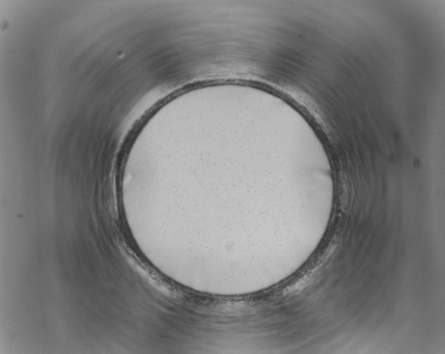 X0000067950982200605112121