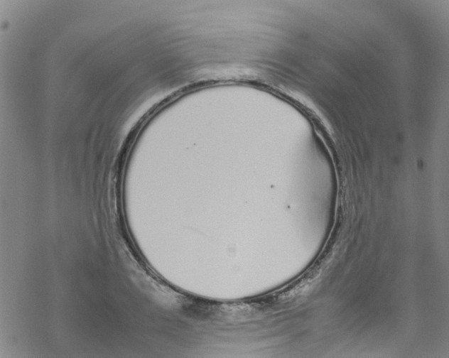 X0000067950983200605112121