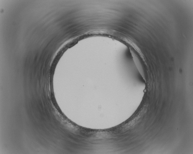 X0000067950984200605112121