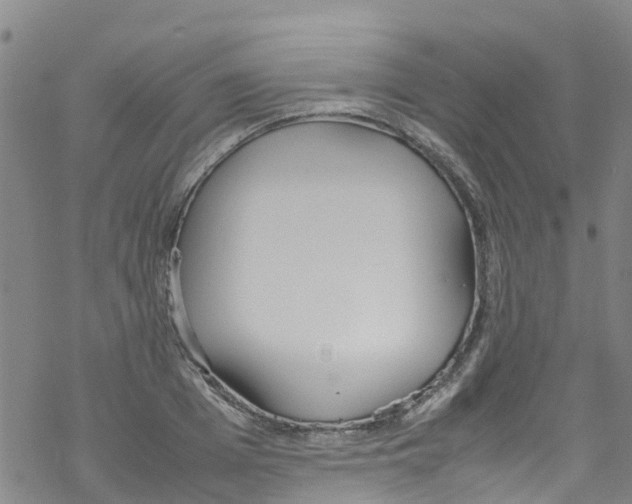 X0000067950985200605112121