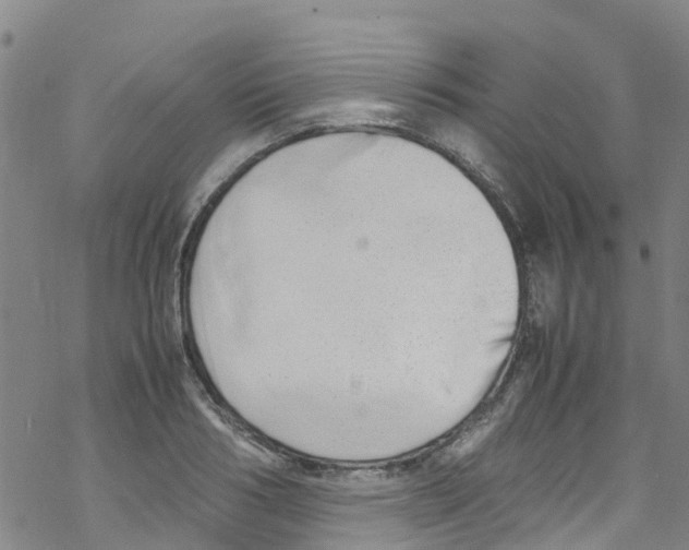 X0000067950986200605112121