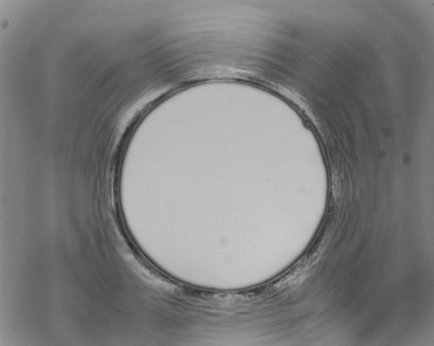 X0000067950987200605112121