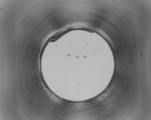 X0000067950988200605112121