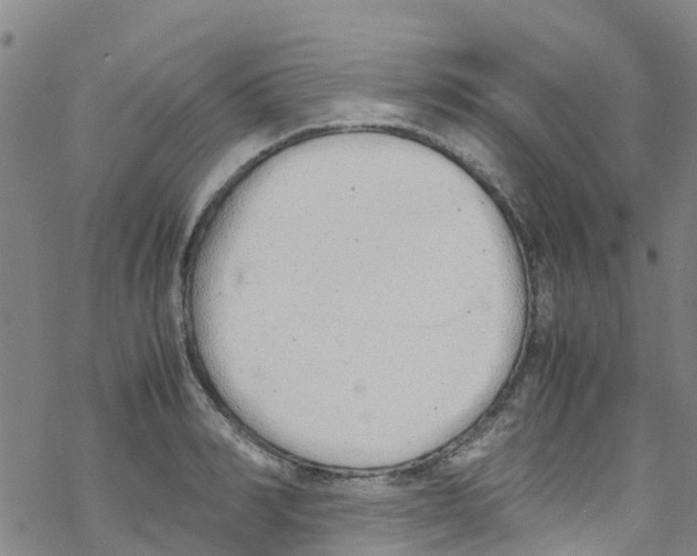 X0000067950990200605112121