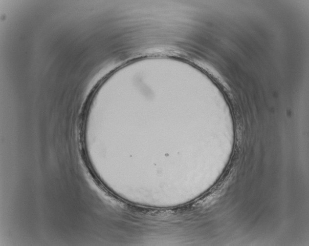 X0000067950991200605112121