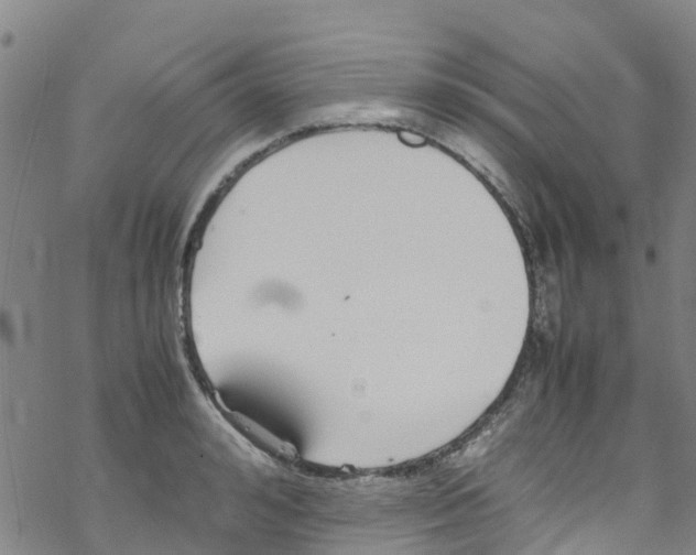 X0000067950992200605112121