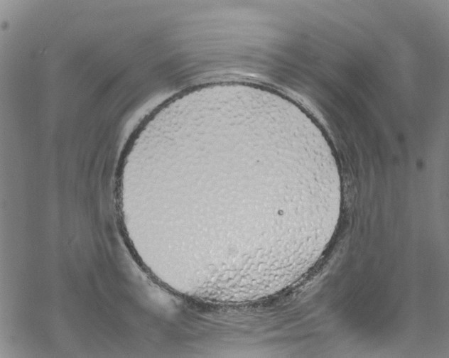 X0000067950995200605112120